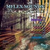 Walk In My Shadow artwork