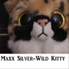 Wild Kitty - Single