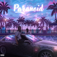 Paranoid (feat. DaViiiper) - Single - Popperazzi Po