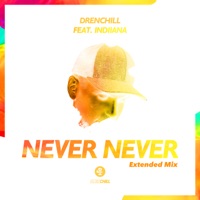 Never Never (Extended Mix) [feat. Indiiana] - Single - Drenchill
