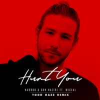 Hurt You (feat. Miceal) [Todd Haze Remix] - Single - naBBoo & Gon Haziri
