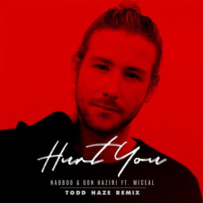 Hurt You (feat. Miceal) [Todd Haze Remix] - Single