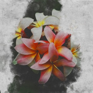 Remember Everything - Single