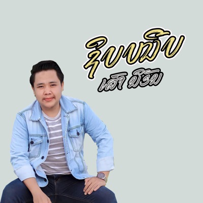 ຊິບໜີບ - Single