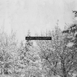 Beside You nsx & dream tax