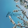 Blossom - EP