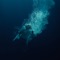 Lapsley - Womxn