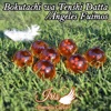 Bokutachi wa Tenshi Datta / Ángeles Fuimos - Single