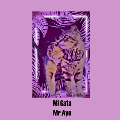 Mi Gata - Single