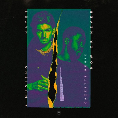 Now Or Never (Cazzette Remix) - Single