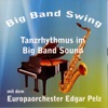 Europaorchester Edgar Pelz - Southern Memories