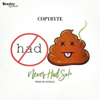 Never Had $#!+ (Radio Edit) - Single - CopyRyte