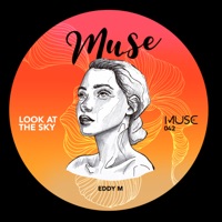 Look At the Sky - Single - EDDY M.