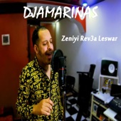 Zeniyi Rev3A Leswar (Live) artwork
