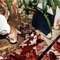 BodyFloat - Gullyspit lyrics