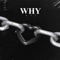 Why (feat. MSG) - Single - 1414