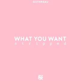 What You Want (Stripped) Gothreau