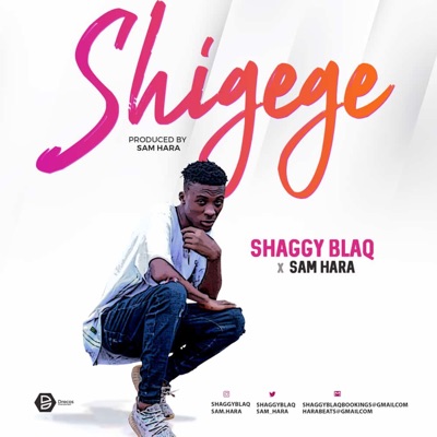 Shigege (feat. Samhara) - Single