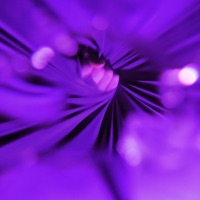 Менажери - Single - Лилу