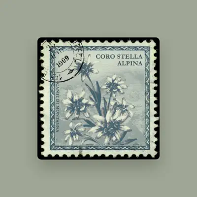 Listen to Coro Stella Alpina, watch music videos, read bio, see tour dates & more!