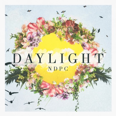 Daylight - Single