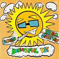 Beautiful Day - Single - B. Chaps & Freedom Stratton