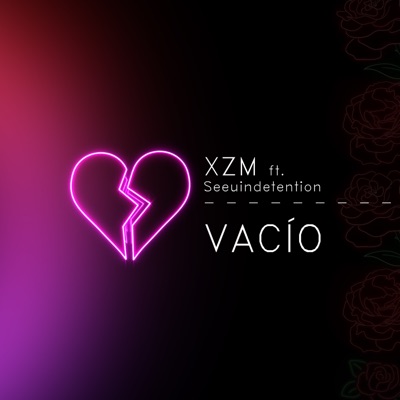 Vacío (feat. Seeuindetention) - Single