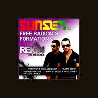The Free Radicals Formation