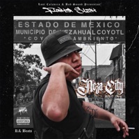 Neza City - Single - Flowker Slick