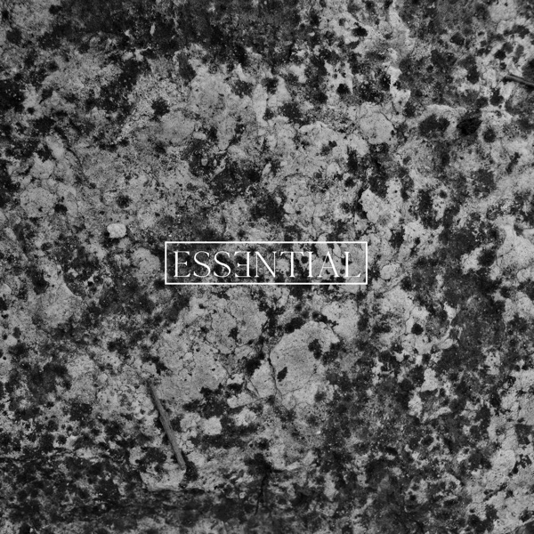 Essential 004 - Single