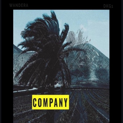 Company (feat. Dkg1) - Single
