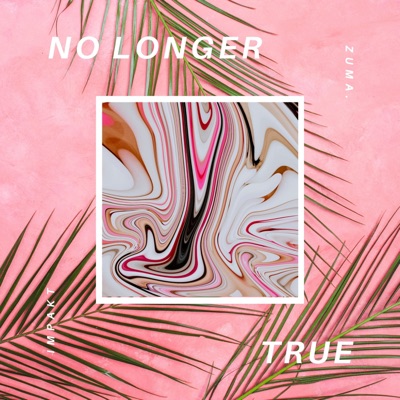 No Longer True - Single