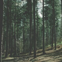 Broken Spell - Single - Lil Yandere