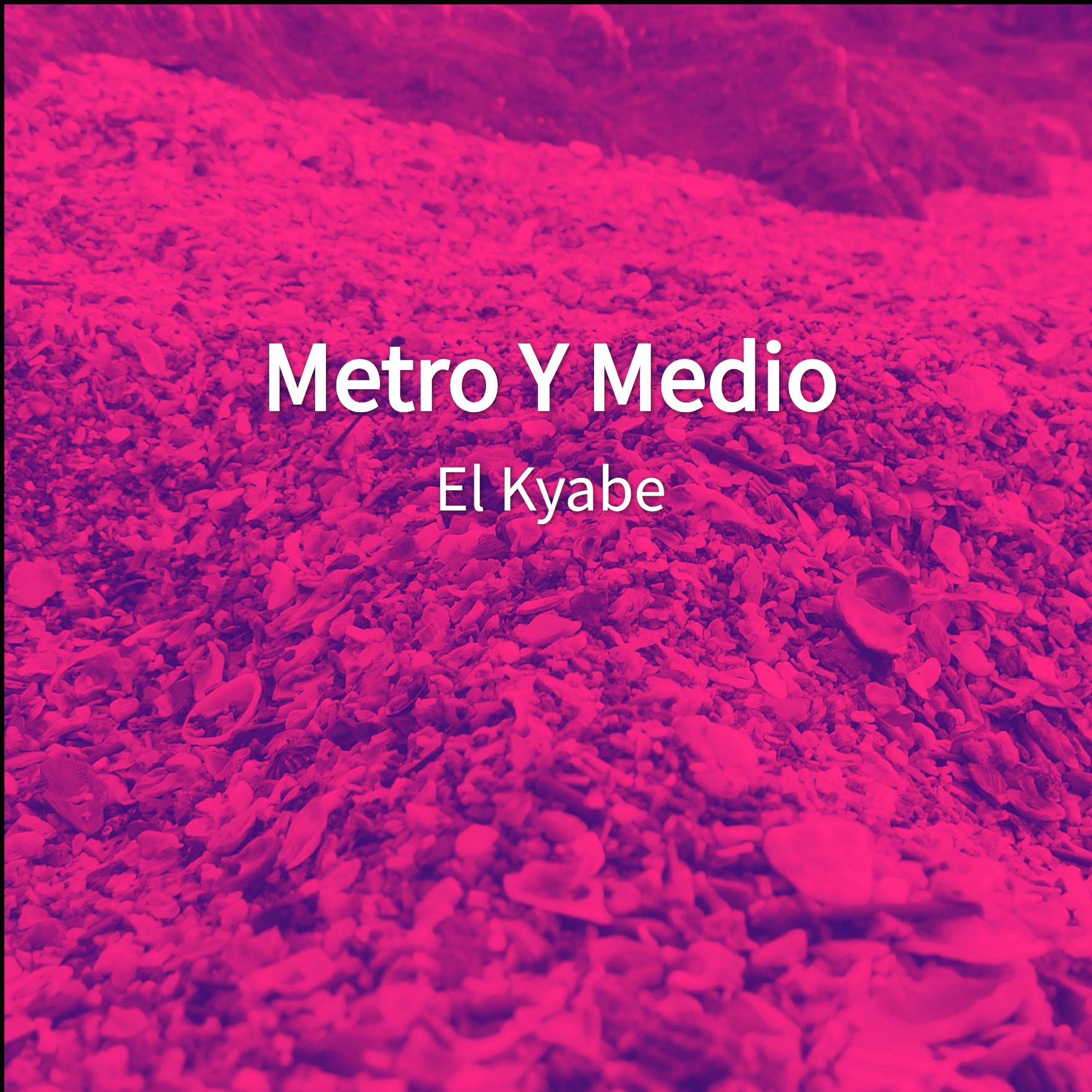Metro y Medio - Single