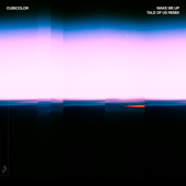 Wake Me Up (Tale of Us Remix)