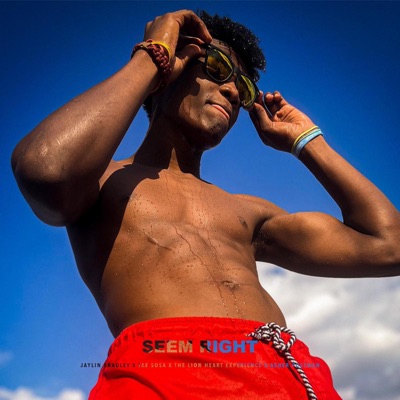 Seem Right (feat. Tae Sosa & The Lion Heart Experience) - Single