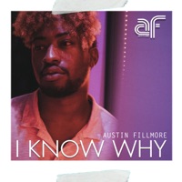 I Know Why - Single - Austin Fillmore