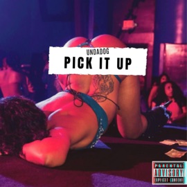 Pick It Up Undadog