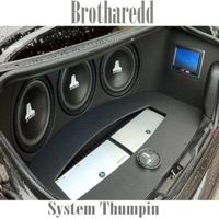 System Thumpin' - Single - Brotharedd