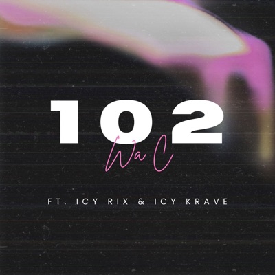 102 (feat. ICY RIX & ICY KRAVE) - Single