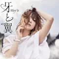 Kiba to Tsubasa