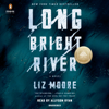 Long Bright River: A Novel (Unabridged) - Liz Moore