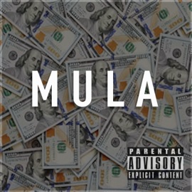 Mula (feat. MikeLarryBag & HollygroveAce) Dark Side Association