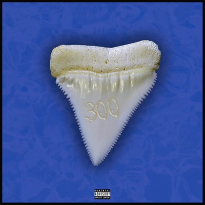 300 DENTI (feat. KNRecords) - Single