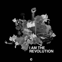 I Am the Revolution - Single - Culdesac Collective