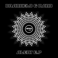 Alert - EP - Brankelo & Ran-D