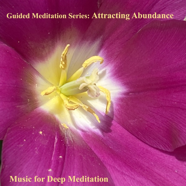 Guided Meditation Series: Attracting Abundance