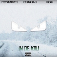In de Kou (feat. Bouzi & Proflexbeats) - Single - PJ Scoolio