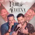Flor de Açucena