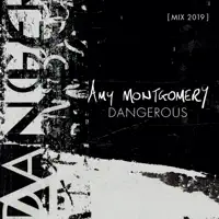 Dangerous — Amy Montgomery